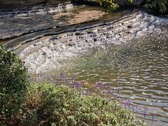 -云溪植物园
