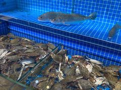 -乔哥铭洋海鲜自助(皇城恒隆广场店)