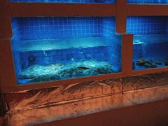 -大理实力希尔顿酒店•御玺中餐厅