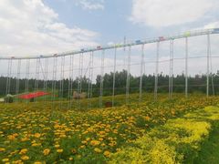 -北纬44度·金珠花海休闲农业旅游景区