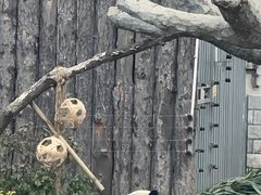 -大青山野生动物园