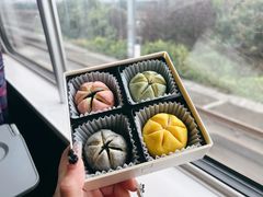 -百年同和·江南点心院(山塘街店)