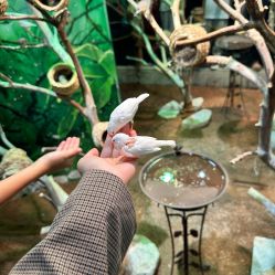 -Zoolung Zoolung动物主题公园(海信广场店)