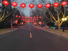 -龙口南山旅游景区