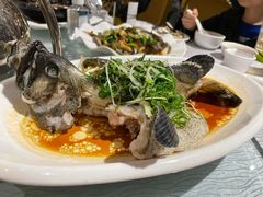清蒸石斑-强记海鲜·大排档(蛇口新街店)
