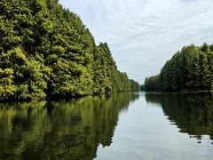 -上海海湾国家森林公园