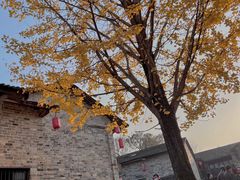 -羊楼洞