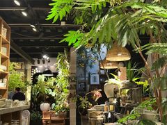 -自由生长植物工作室(深港花卉中心店)