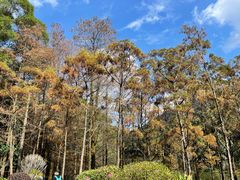 -深圳仙湖植物园