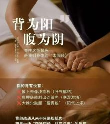 -玛莲朵·海菲秀冰珀科