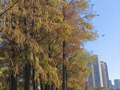 -四海公园(南山区)