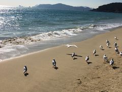 -海云台海滩