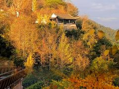-四明山国家森林公园
