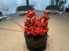 -南堂馆·新川菜(春熙路店)