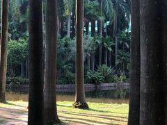 -滴水岩森林公园