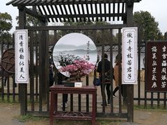 -香雪海