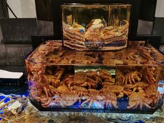 -蟹道乐(道顿堀本店)