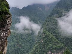 -牛背梁国家森林公园