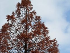 -山王坪喀斯特国家生态公园