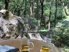 -中国茶叶博物馆(双峰馆区)