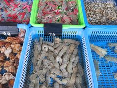 -七鲜渔港美食餐厅(巽寮湾海景店)