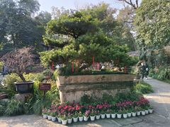 -成都杜甫草堂博物馆