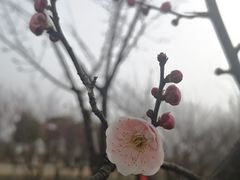 -南湖湿地公园