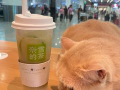 -深圳宝安国际机场