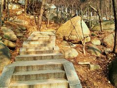 -崂山巨峰游览区
