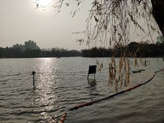 -大宁公园