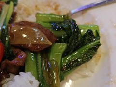 -憶廟街 X 沙角邨(太古城店)