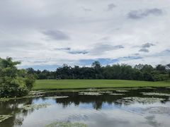 -中国科学院西双版纳热带植物园