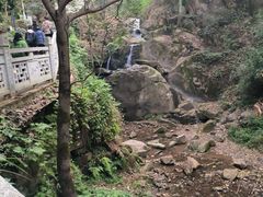 -南山植物园