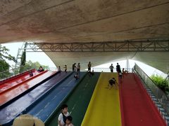 -百万葵园