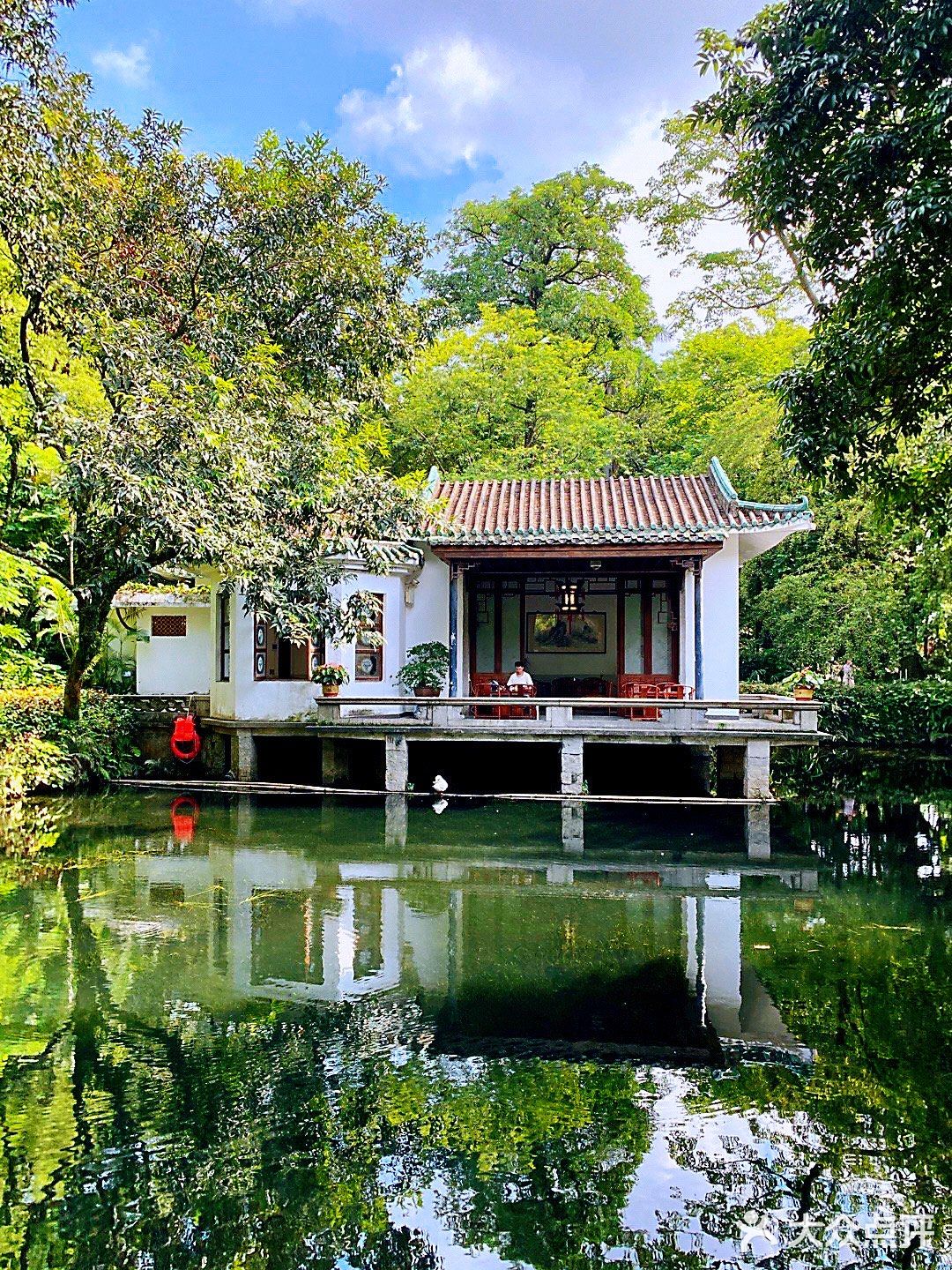 广州周末游|体验空谷幽兰～兰圃
