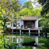 广州周末游|体验空谷幽兰～兰圃
