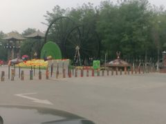-呀路古热带植物园