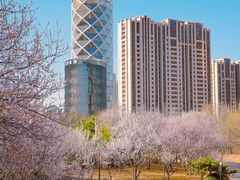 -大望京公园