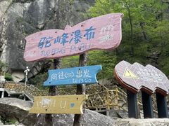 -洛阳白云山景区