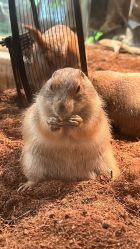 -Zoolung Zoolung动物主题公园(海信广场店)