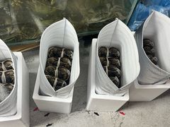 -阳澄湖大闸蟹·琼灵阁牌品牌连锁(吴中总店)