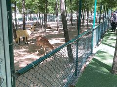 -大连铭湖国际观光牧场