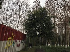 -重庆彩云湖湿地公园