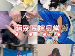 -全心全意动物诊疗中心医院(北苑店)