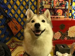 -大汗行宫园林餐厅