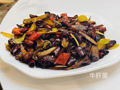 -菌海森林·非遗野生菌火锅(西山区滇池路摩根道店)