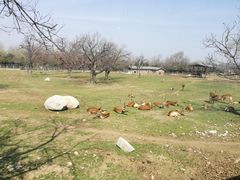 -西安秦岭野生动物园