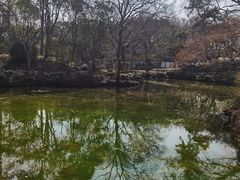 -秋霞圃