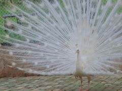 -鄱阳湖国家湿地公园