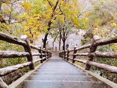 -北京凤凰岭